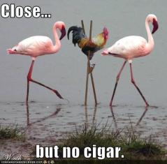 Image result for close no cigar
